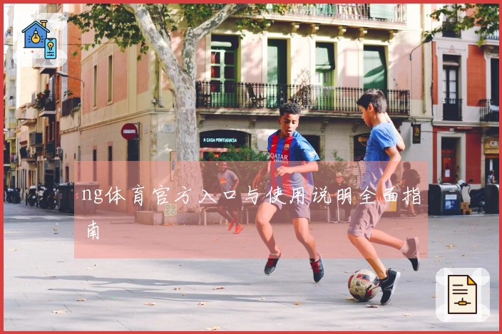 ng体育官方入口与使用说明全面指南