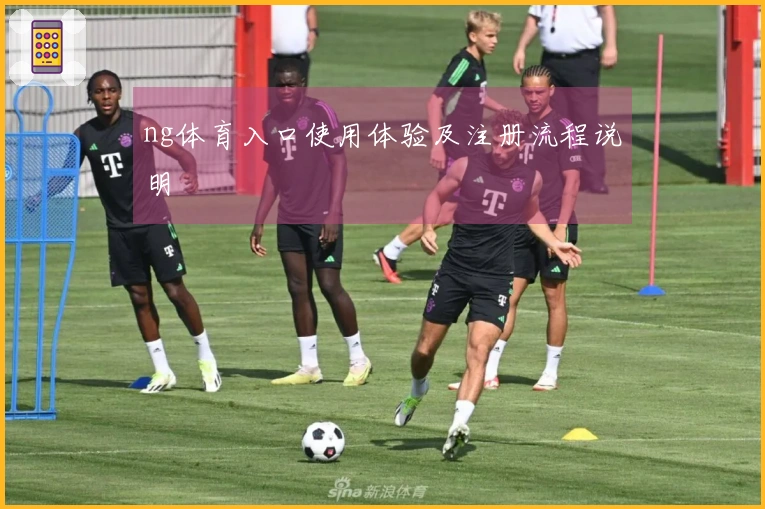 ng体育入口使用体验及注册流程说明