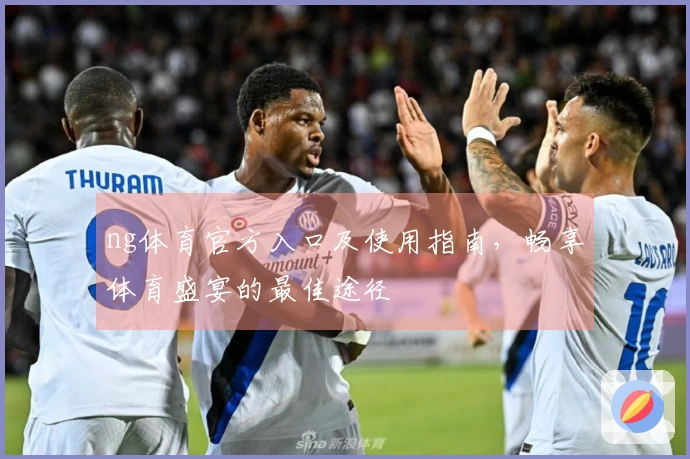 ng体育官方入口及使用指南，畅享体育盛宴的最佳途径