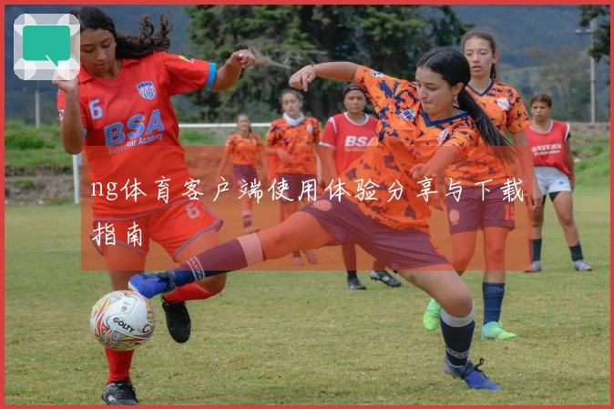 ng体育客户端使用体验分享与下载指南