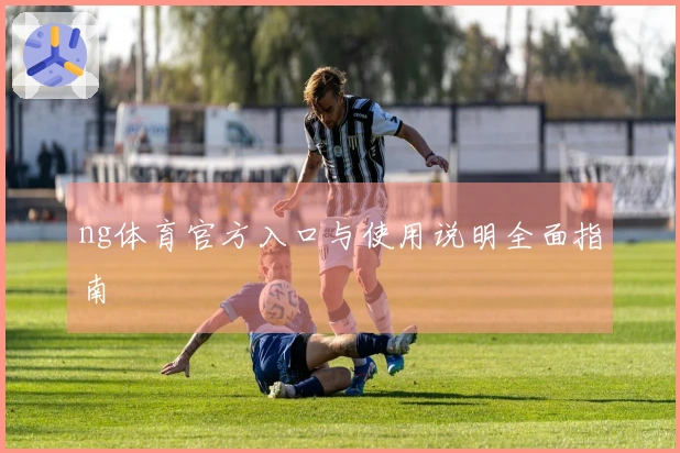 ng体育官方入口与使用说明全面指南