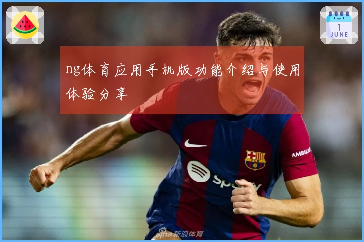 ng体育应用手机版功能介绍与使用体验分享