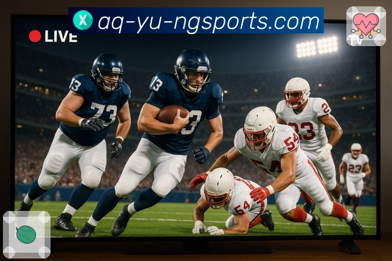 体育直播接口页面结构示意